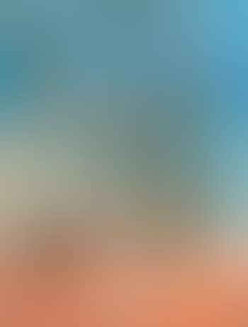 Shoalhaven Hillside (preview)