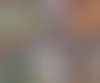 Autumn Landscape (preview)