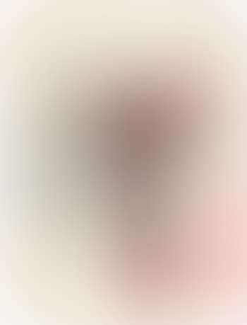 Ohne Titel (Hochsitz) (preview)