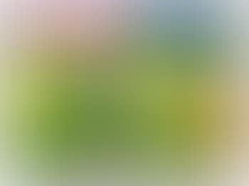 Yellow Last Will (preview)