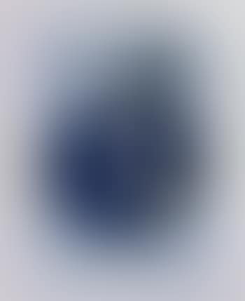 Galerie Denise Rene (preview)