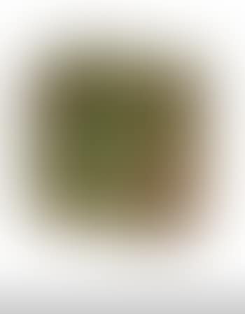 Compression (preview)
