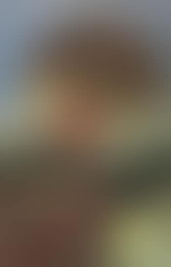Speelgoed auto's in de bergen (preview)