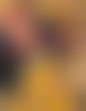 Si garantisce (preview)