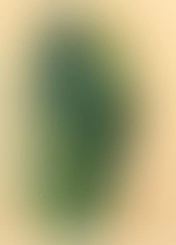 Composition (preview)