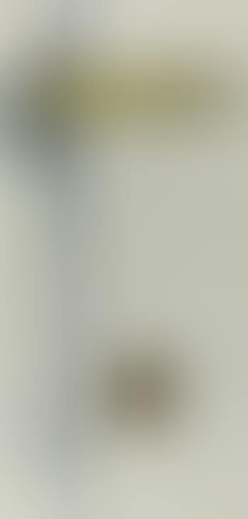 Senza titolo (preview)