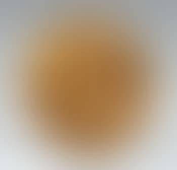 Disco del sole (preview)