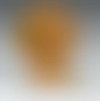 Disco del sole (preview)