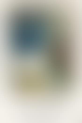 L’oiseau bleu (preview)