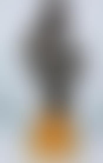 Maternité (preview)