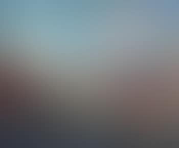 Vue du Pont du Rialto (preview)