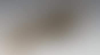 L'Index (preview)