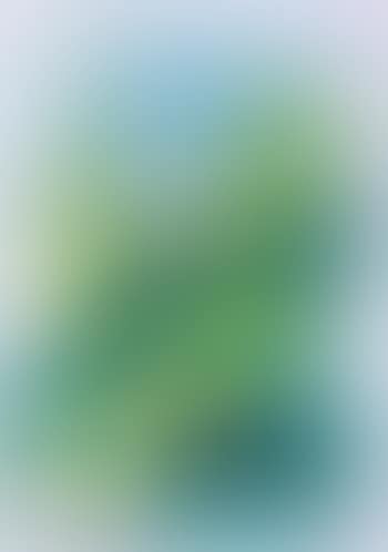 Sans titre (preview)