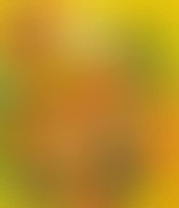 Landscape (preview)