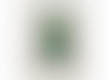 10002 Nights Homo Humus Come Va (preview)