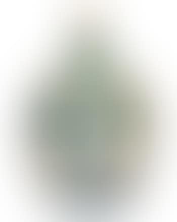 Visage aux yeux rieurs (preview)