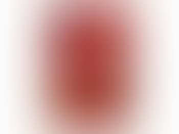 [Untitled] (preview)