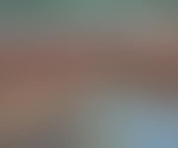 Landscape (preview)