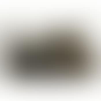 Gunpowder drawing no. 8-32 (preview)