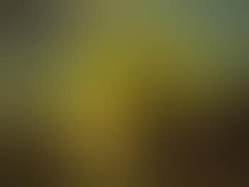 Western Sunset (preview)