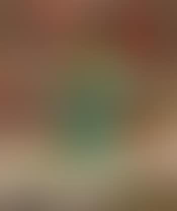 Bildnis der Anna Amiet (preview)