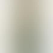 [Untitled] (preview)