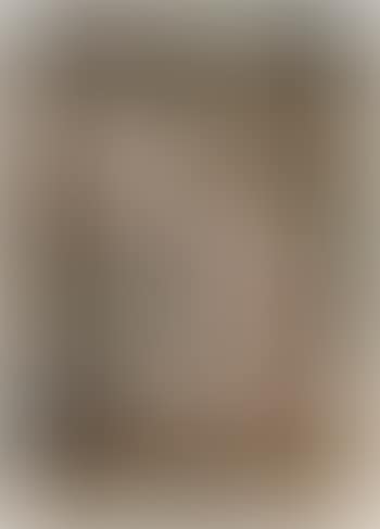 Erotic Playmates (preview)