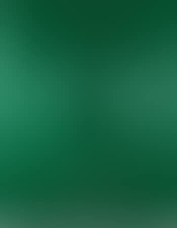 One green ellipse (preview)