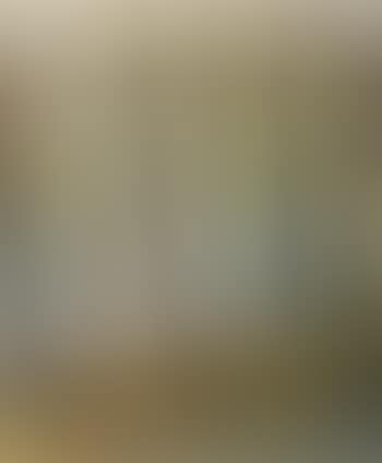 Morning fog and yellow leaves (preview)
