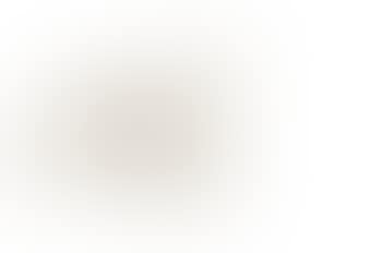 Ours blanc marchant (preview)