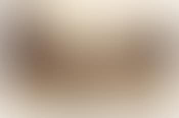 Paysage de Donnemarie en Montois (preview)
