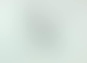 Study of a Fox Terrier (preview)