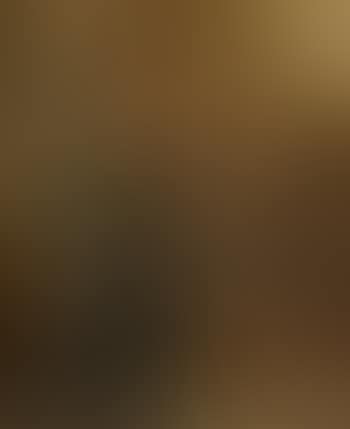 Portrait of a soldier (preview)