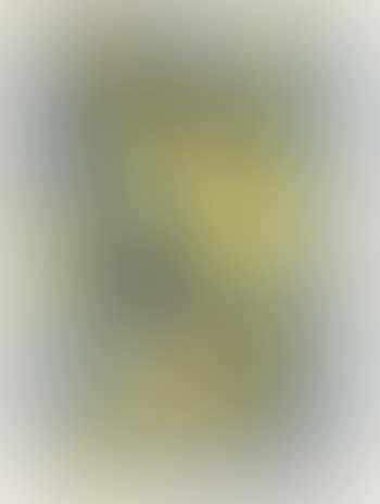 [Untitled] (preview)