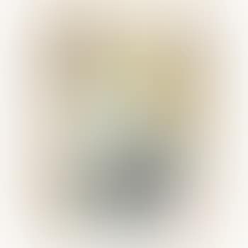 [Untitled] (preview)