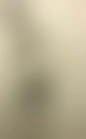 Female Nude Study (preview)