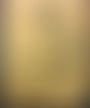 Female Nude with Crossed Legs (preview)