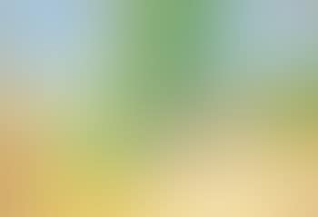 In Sunlight (preview)