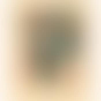 Lithographs II (preview)