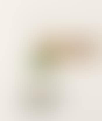 Poule (preview)