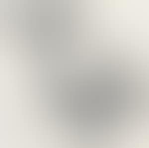 Lotus Pond (preview)