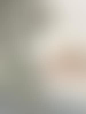 Landscape (preview)