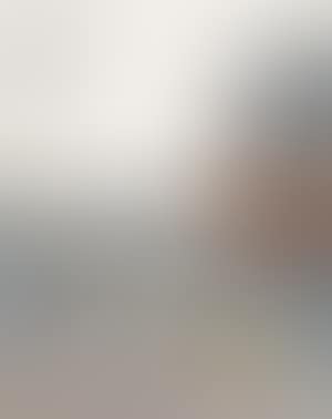 Streetscape (preview)
