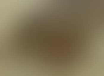 Nature morte aux fruits (preview)