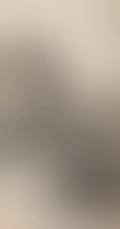 Landscape (preview)