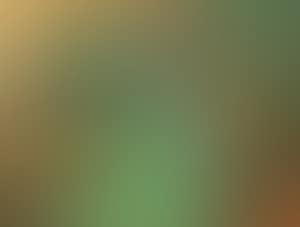 Splash-color Landscape (preview)
