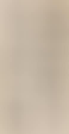 Calligraphy Couplet (preview)