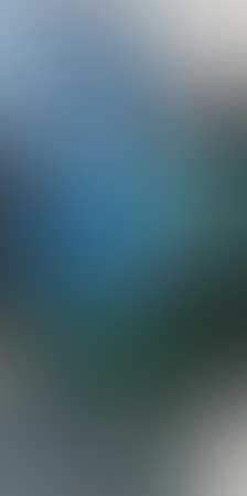 Landscape (preview)