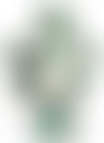 Vase gros oiseau vert (preview)