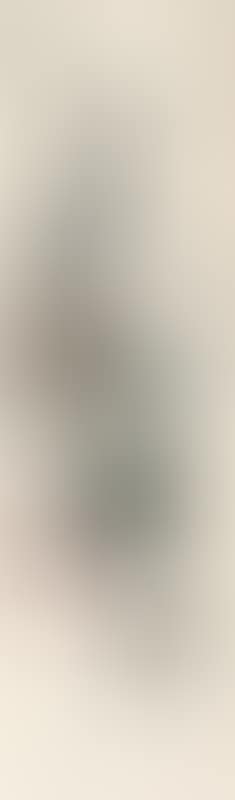 And Wang Zhen books, Prunus and vegetables (preview)